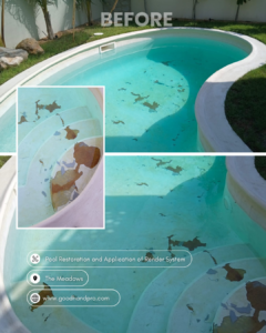 Render System for Pool
